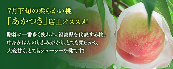 7月下旬の柔らかい桃「あかつき」店主オススメ！中身がほんのり赤みがかり、とても柔らかく、大変甘く、とてもジューシーで大玉になる桃