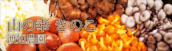 天然舞茸 国産松茸 天然ち茸（チチタケ） 豆だんご- 会津渡辺農園