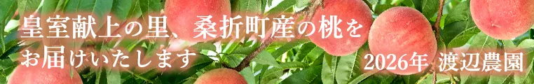 皇室献上の里、桑折町産の桃をお届け致します。2026年渡辺農園